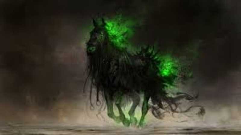 cheval.jpg