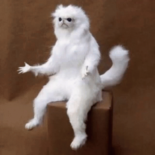 what-meme.gif