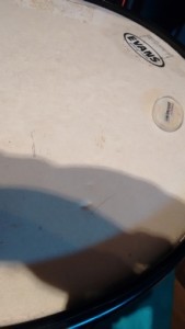 IMG_20170605_161221471.jpg