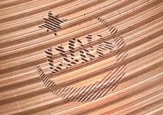 11c9b4c6-6e6c-4ed9-a7e2-5cf1186fde10.jpg