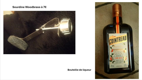 sourdine1.JPG