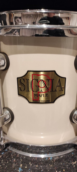 IMG_20260128_184143 2.jpg