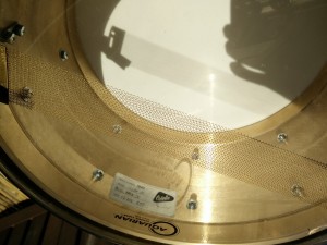 Oriollo31.jpg
