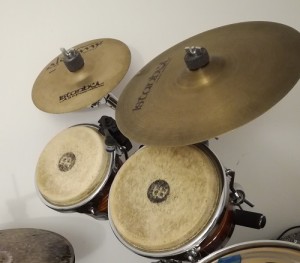 tama_6.jpg