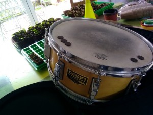 IMG_20180331_161649.jpg