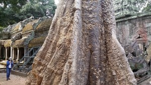 20180127_133030 (Copier).jpg