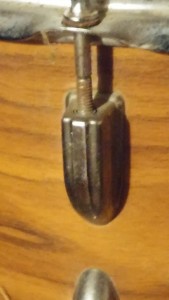 2018_coquiille_a_identifier.jpg