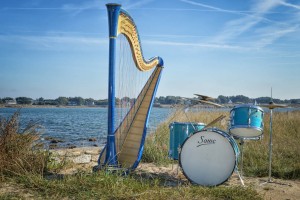Harpundrum Instruments 06 Thumb.jpg