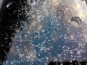 Bientôt la fin, ouf !!! j'attends encore une journée pour être sur qu'il soit bien sec a cœur, vu que le relief des paillettes ne se sent plus au touché, j e verrai bien s'y j'en remet une couche ou s’y je m'attaque a la finition coté esthétique, ponçage a l'eau grain super fin et lustrage puis remontage ...