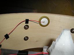 Piezo Rim