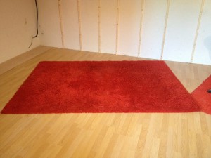TAPIS.jpg