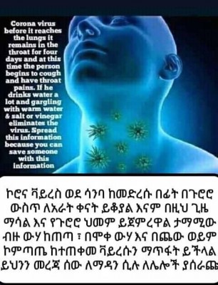 89361418_149554423197426_4665076550725533696_n.jpg