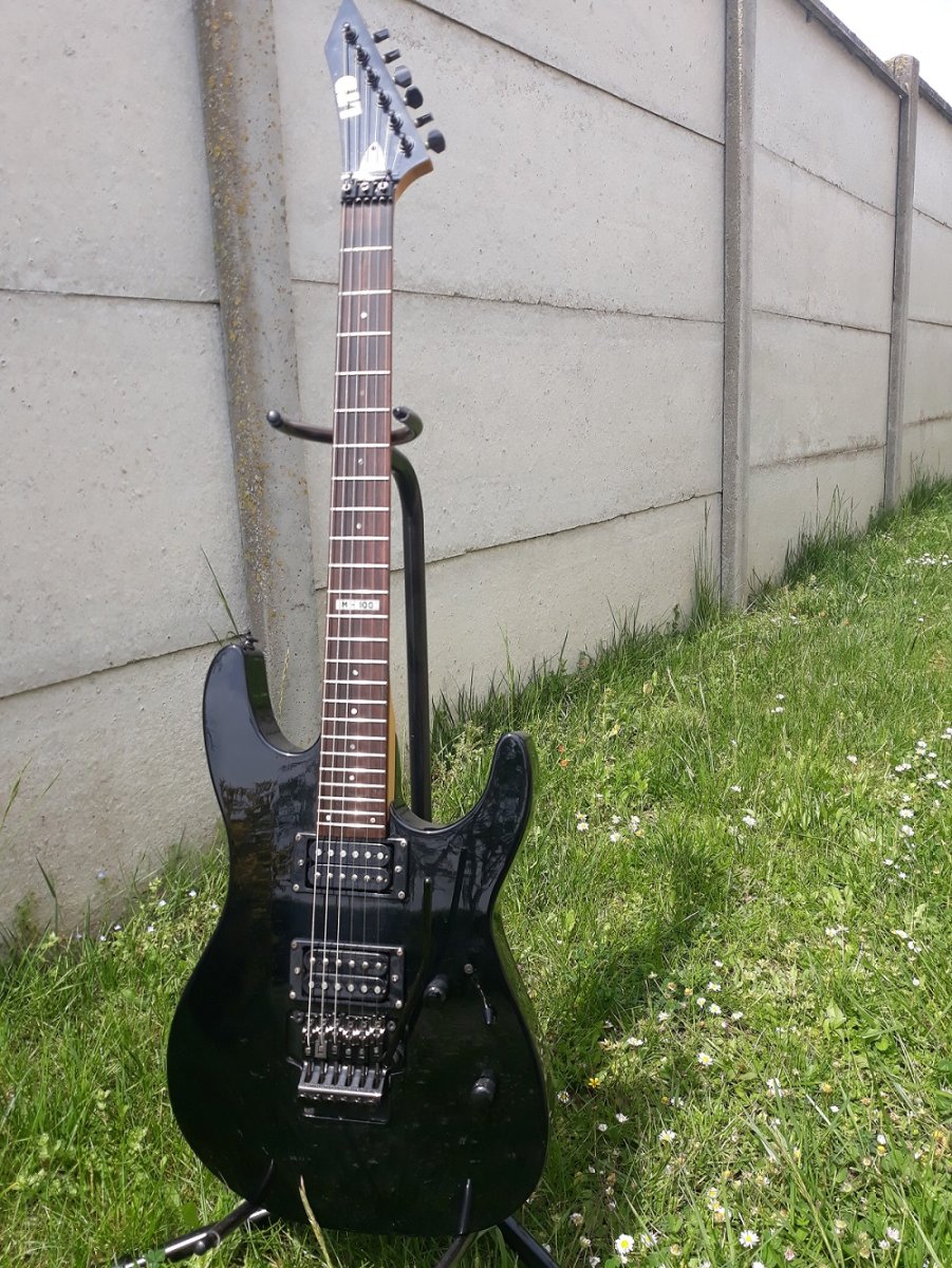 LTD M100 +.jpg