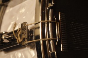 _MG_8387.JPG