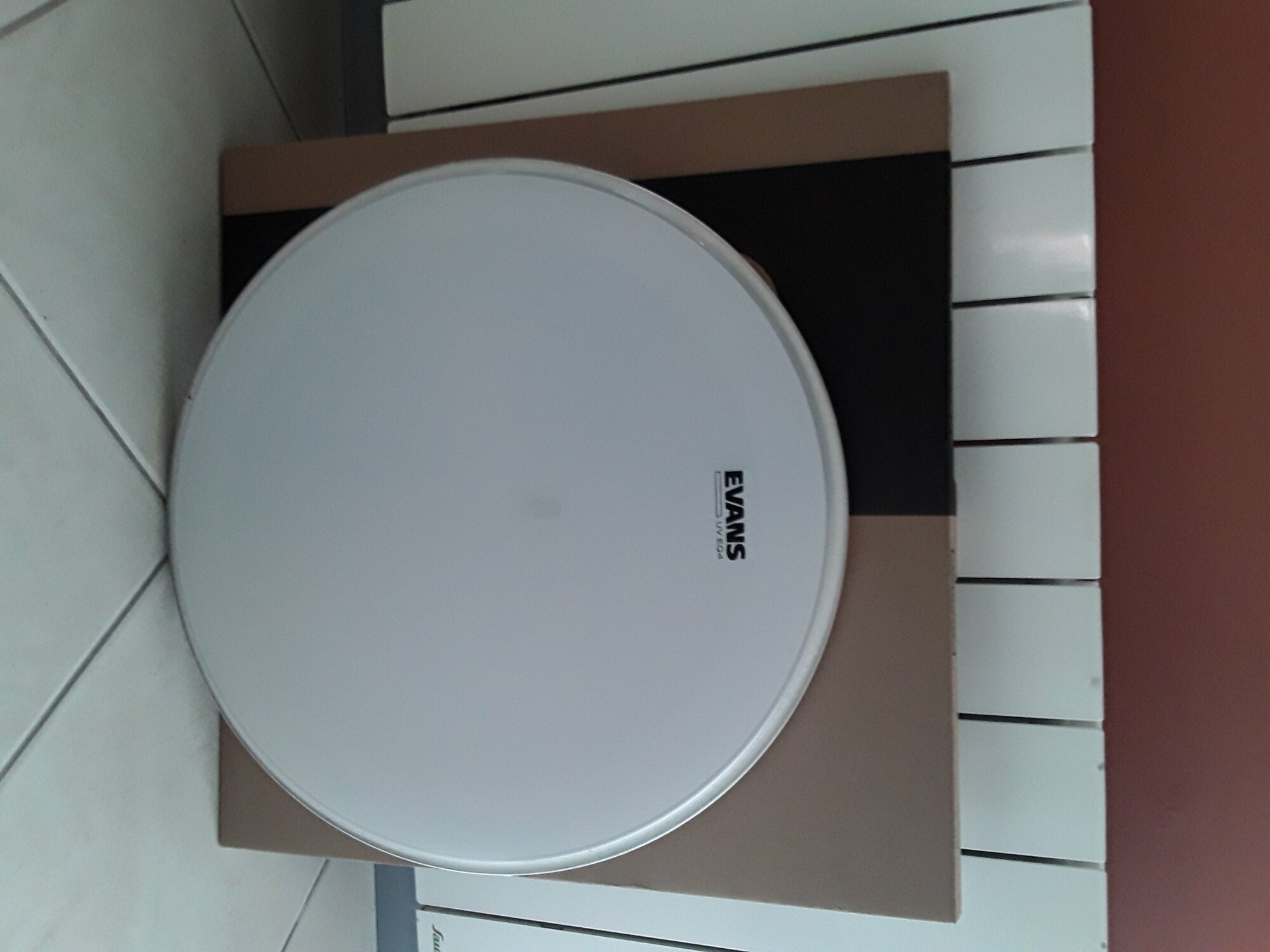 20220130_120427.jpg