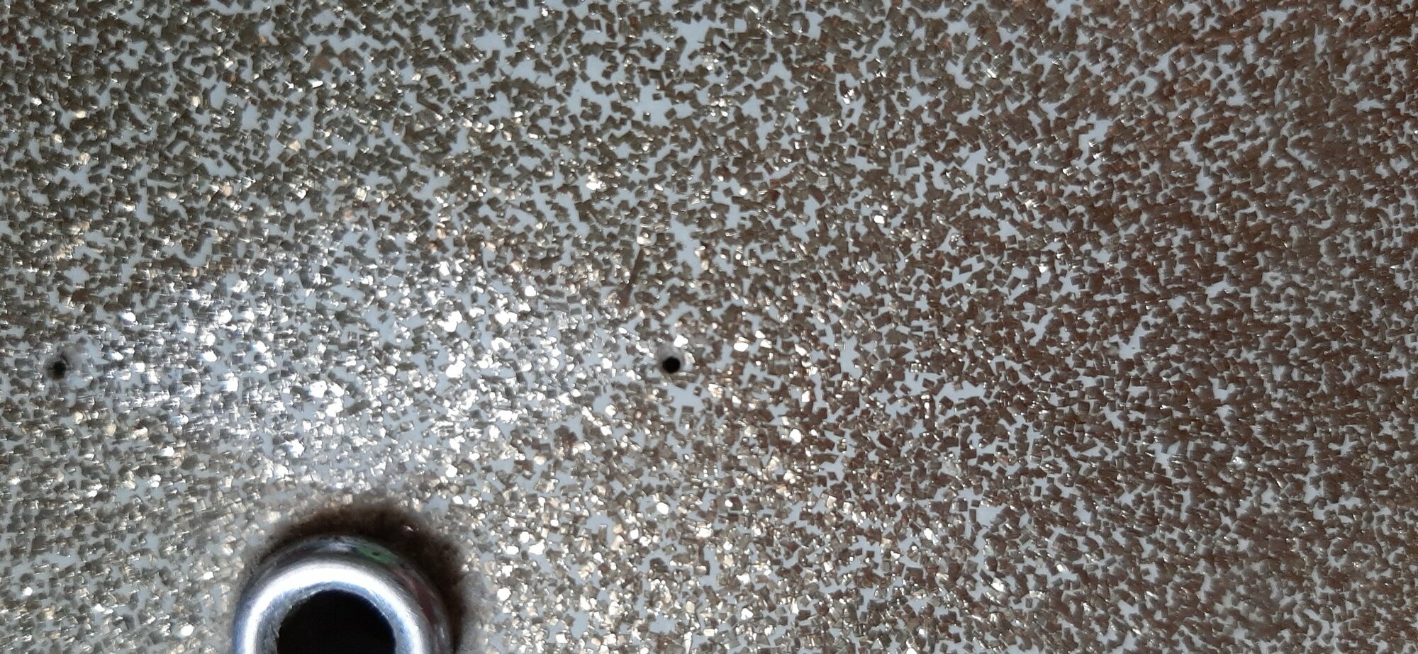 20220320_135502.jpg